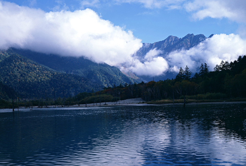 2017“兩會(huì)時(shí)間”正式開(kāi)啟 中國(guó)畫(huà)卷綠意濃